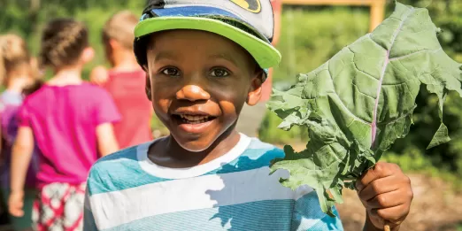 Boy holding vegetable leaf in garden